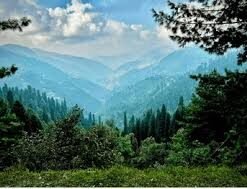 Nathia Gali Tour Guide